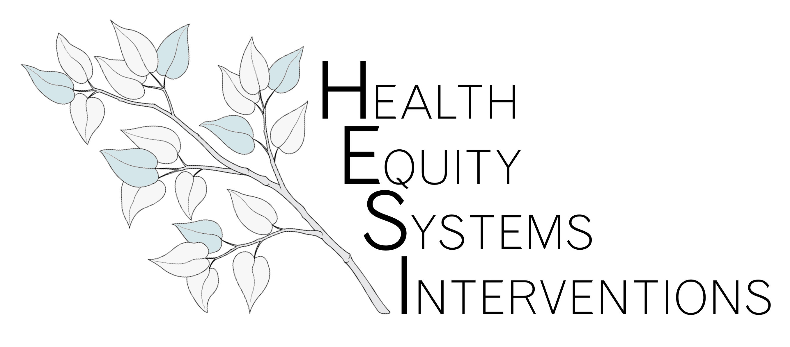 Health Equity Systems Interventions logo